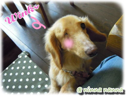 So cute!
