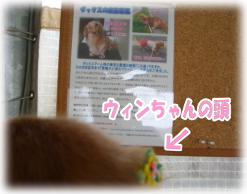 d9833d5d.jpg