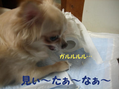 e59e9825.jpg