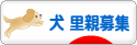 ブログ村へ投票する?