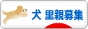 ブログ村へ投票する？