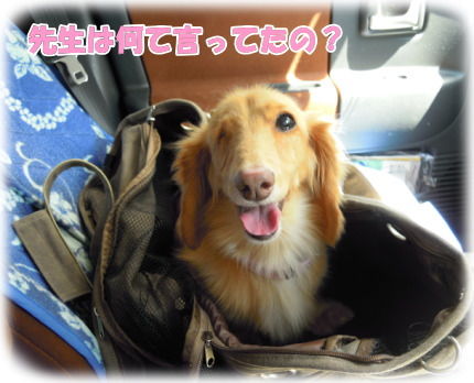 帰りの車中@駐車場にて