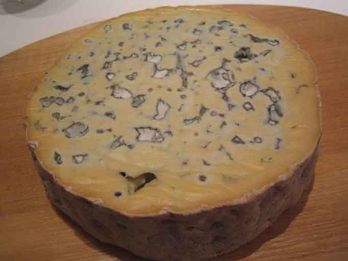 専門店で熟成されたブルーチーズは一味もふた味も違います Fourme D Ambert Aoc Aop 心に美味しい食べ物探し