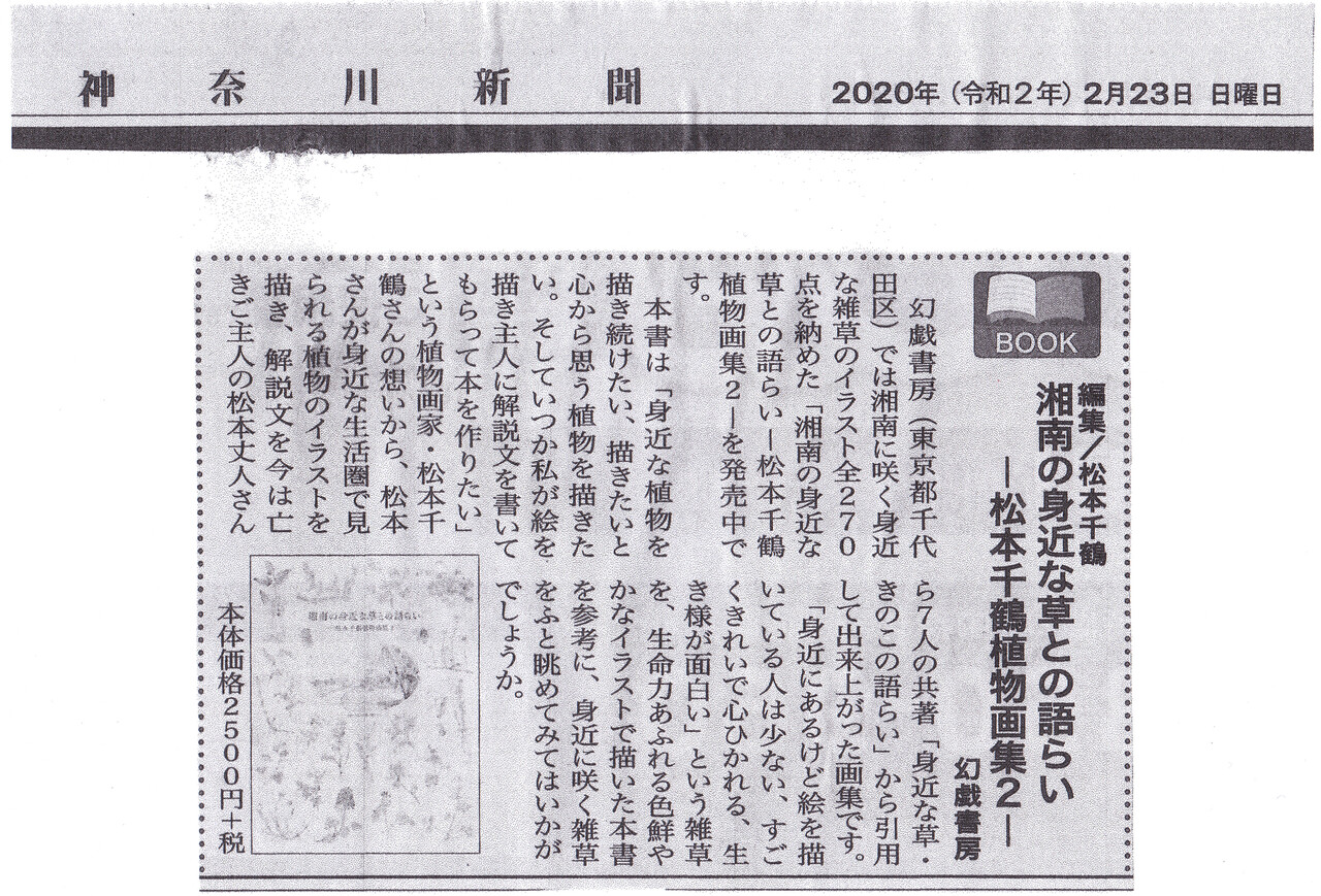 松本千鶴 雑草画集原画展のお知らせ 松本千鶴の やすらぎのボタニカルアート 松本千鶴 雑草画集原画展のお知らせ 松本千鶴の やすらぎのボタニカルアート