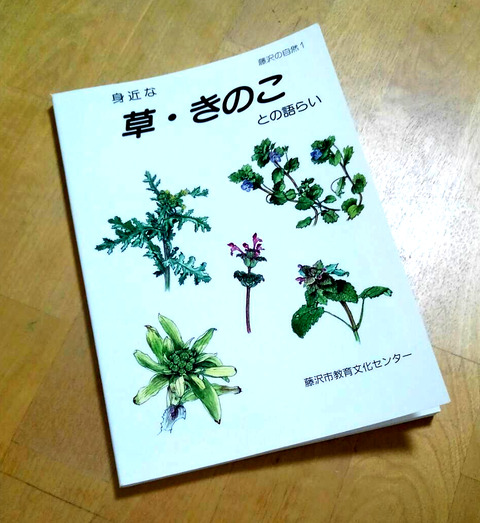 湘南の草_教文