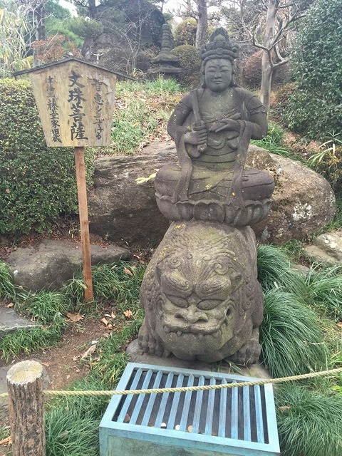写真 2016-01-17 15 18 05 (1)