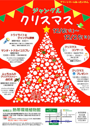 ジャングルクリスマス