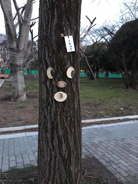 55458151_2587067258035201_728253177241010176_n
