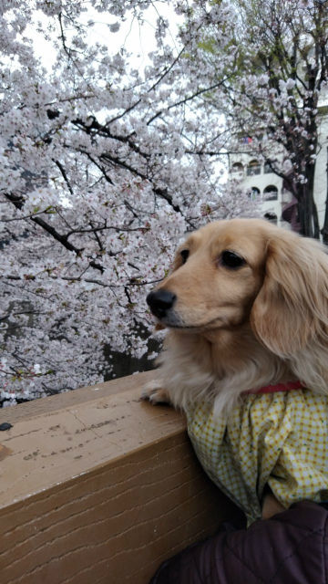 20190330161050_p