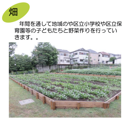 noのコピー4