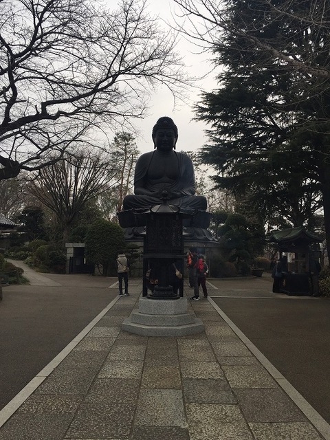 写真 2016-01-17 15 13 36