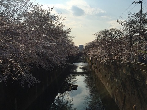 写真 2017-04-04 15 43 10