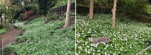 小豆沢公園