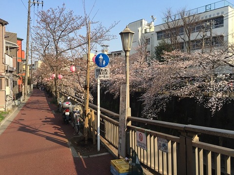 写真 2017-04-04 15 47 04