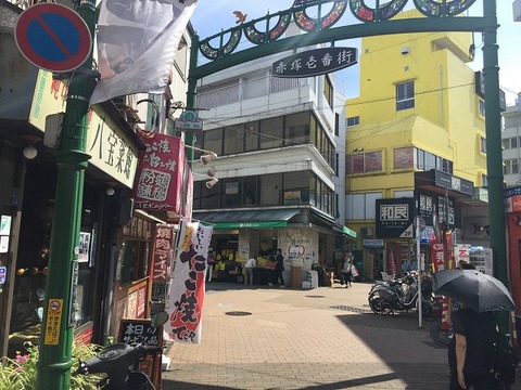 写真 2017-09-15 12 55 29