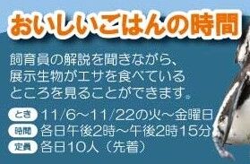 0423981c058af30d8c68471c4c549fc7のコピー3