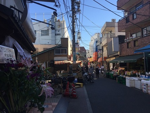 写真 2017-02-07 11 36 52