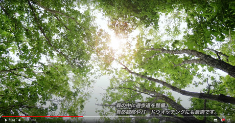 2020-07-10 6.42のイメージ (2)
