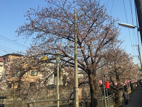 写真 2017-04-04 15 55 13