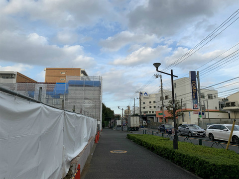 IMG_0919