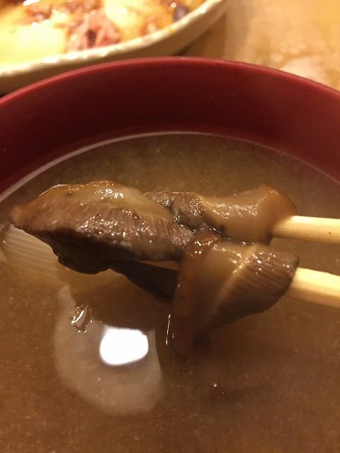 写真 2016-12-30 21 22 12