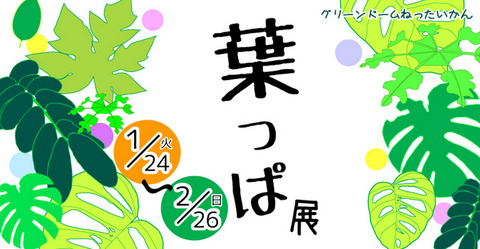 HP_TOP-3