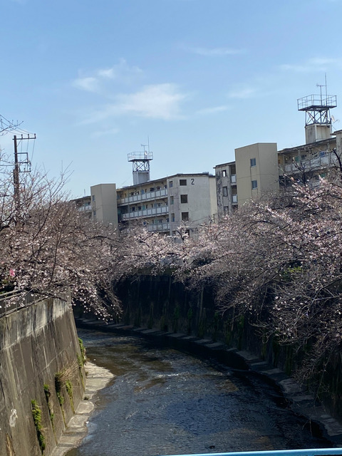 画像16