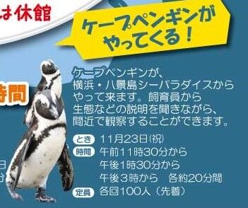 0423981c058af30d8c68471c4c549fc7のコピー