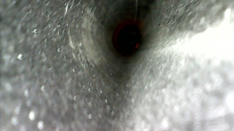 WIN_20201231_13_35_08_Pro