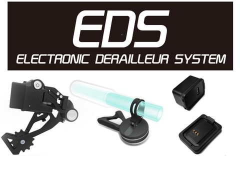 EDS Description2
