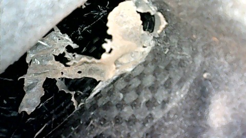 WIN_20201231_13_50_59_Pro