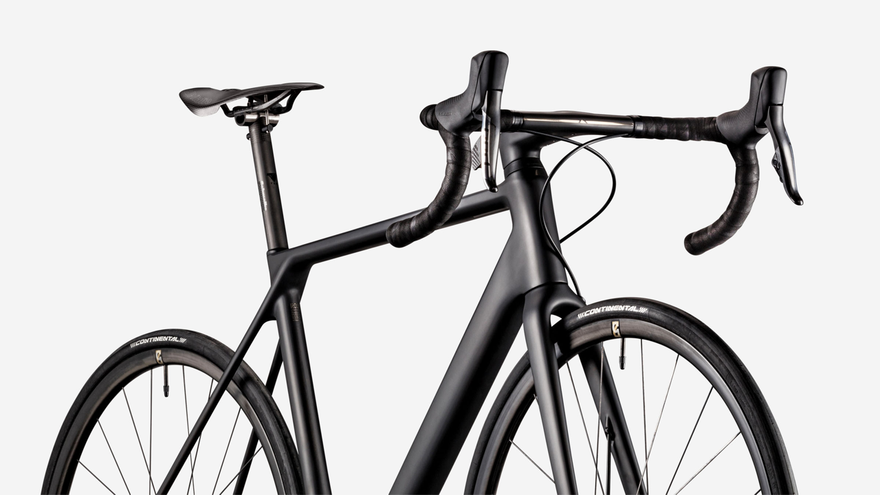 canyon evo disc