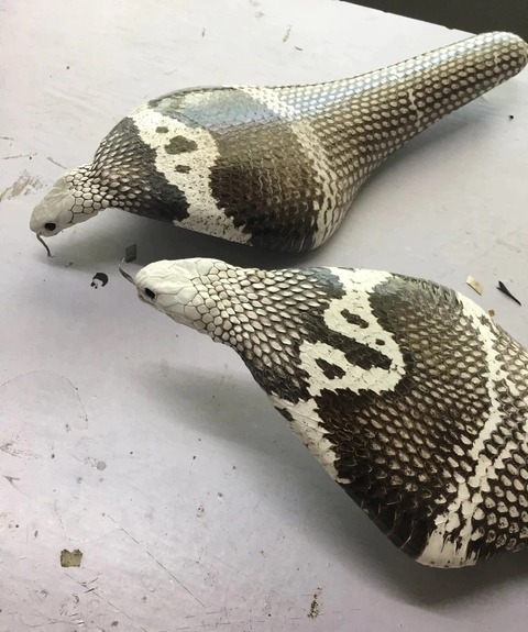 H28f78f7b8fce4ff6ab8b731def73137d2