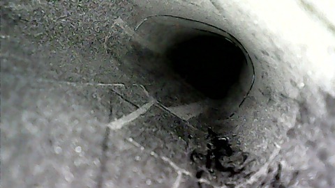 WIN_20201231_13_42_35_Pro