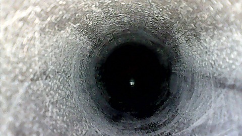 WIN_20201231_13_31_57_Pro