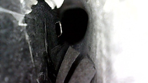 WIN_20201231_14_23_48_Pro