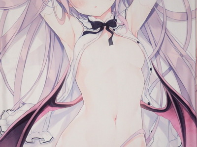 超適当なブログ 2 0 抱き枕