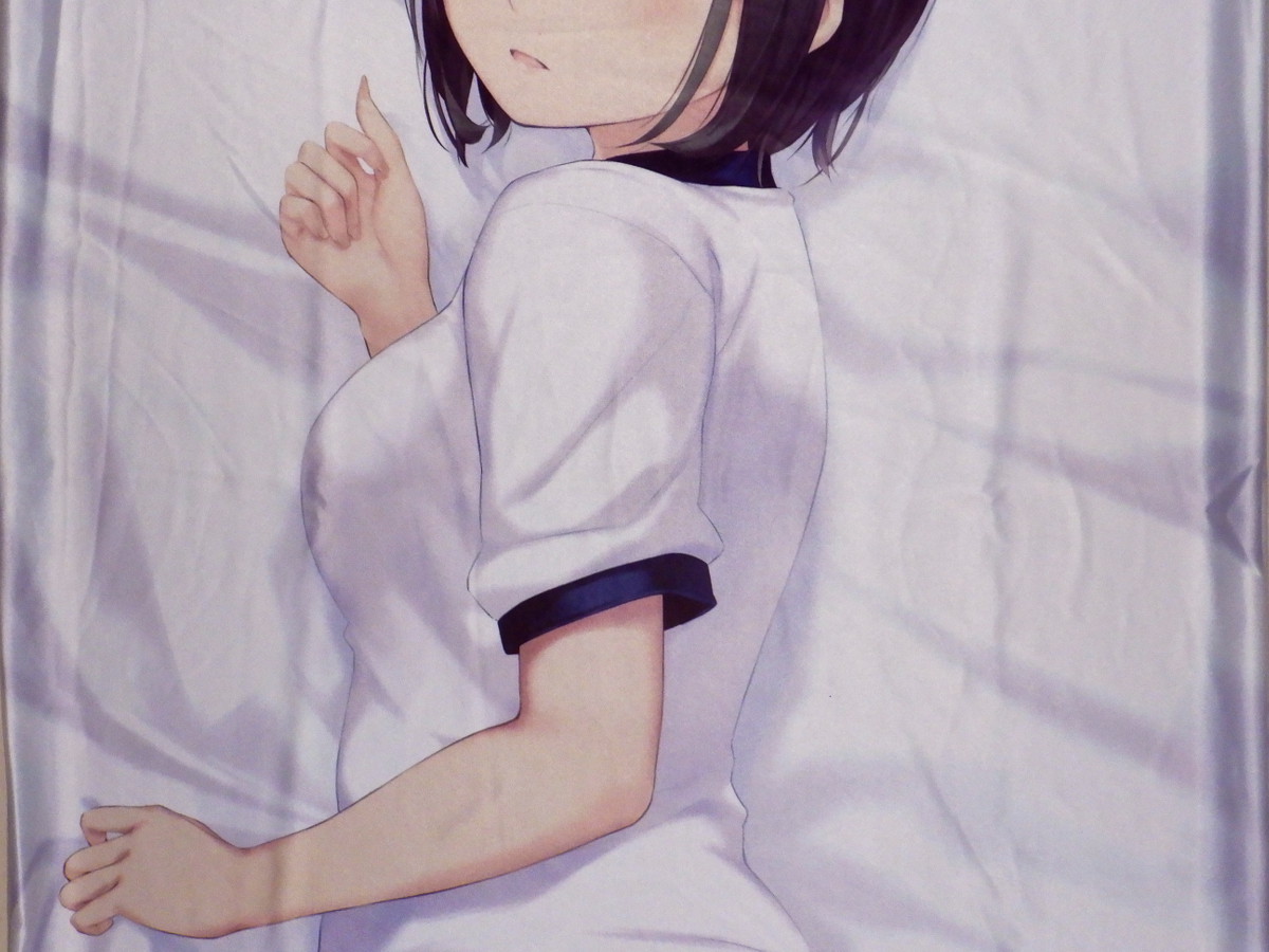 珈琲貴族 青山澄香 抱き枕カバー レオタード C97/ロイヤルマウンテン