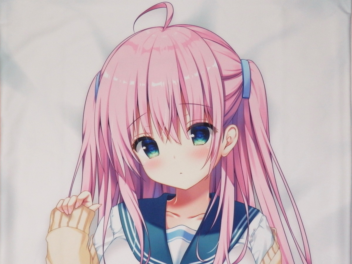 きのこのみ 抱き枕カバー 金髪ちゃん 銀髪ちゃん 正規品2025年