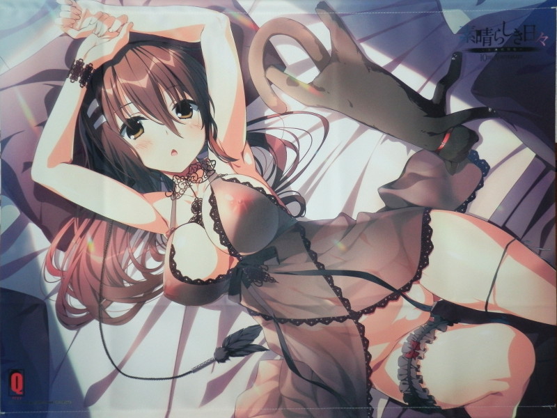 素晴らしき日々 10th Anniversary特別仕様版 ソフマップ Limited ...