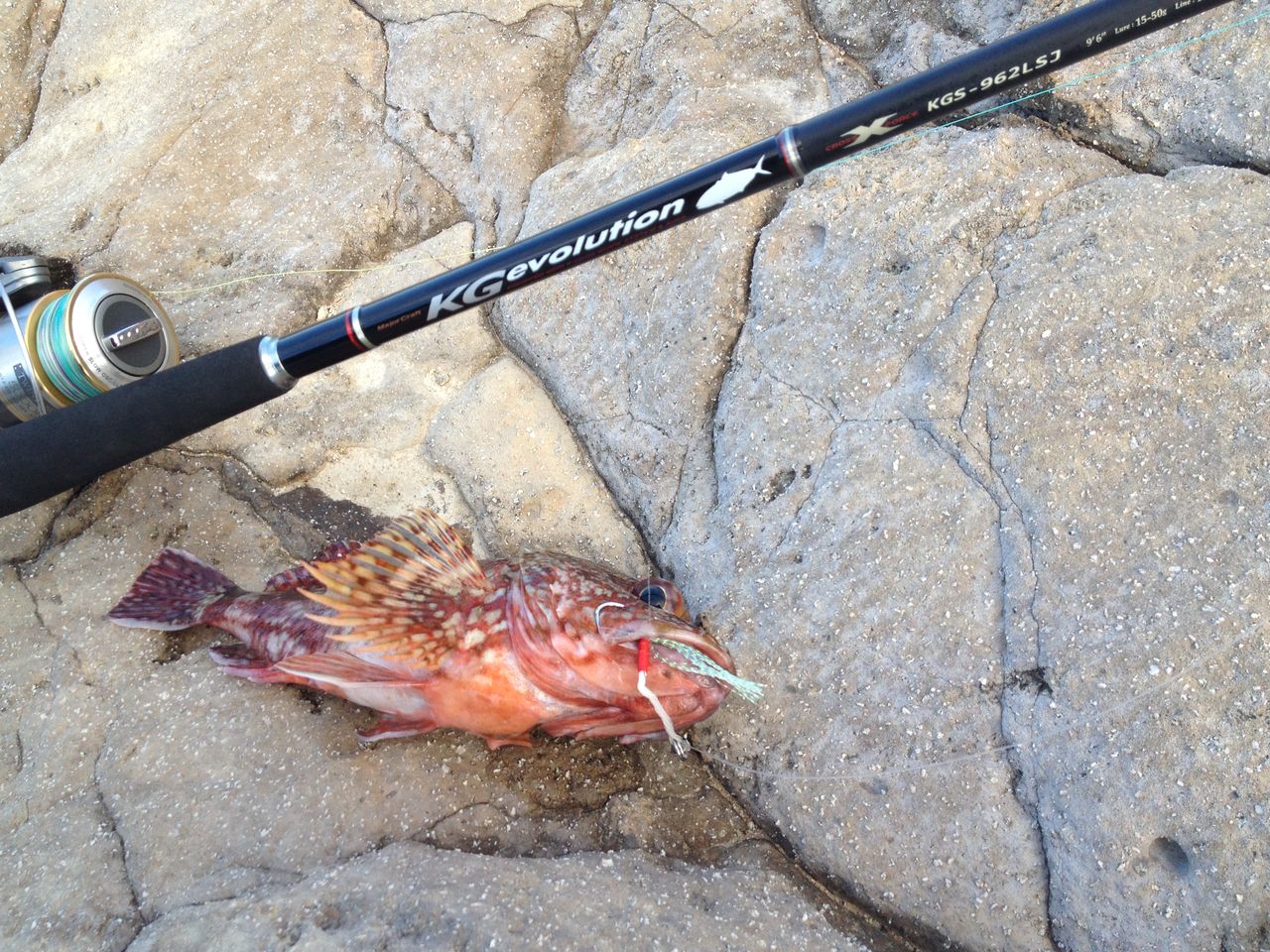 ヒラマサ狙って宇竜の磯へ 釣 てくてく Cho Teku Teku ヒラマサ狙って宇竜の磯へ 釣 てくてく Cho Teku Teku