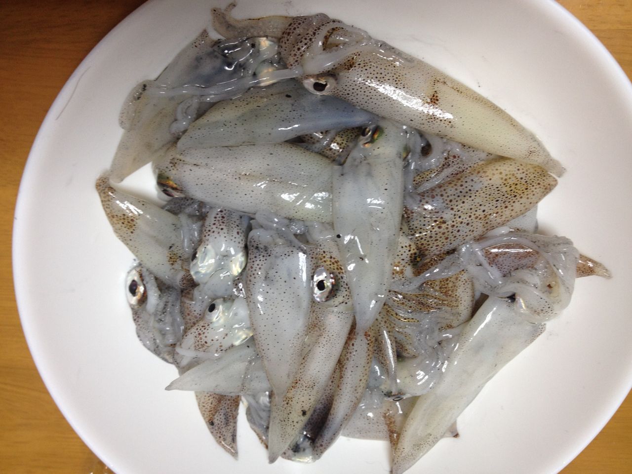 ベイカリベンジw 釣 てくてく Cho Teku Teku ベイカリベンジw 釣 てくてく Cho Teku Teku