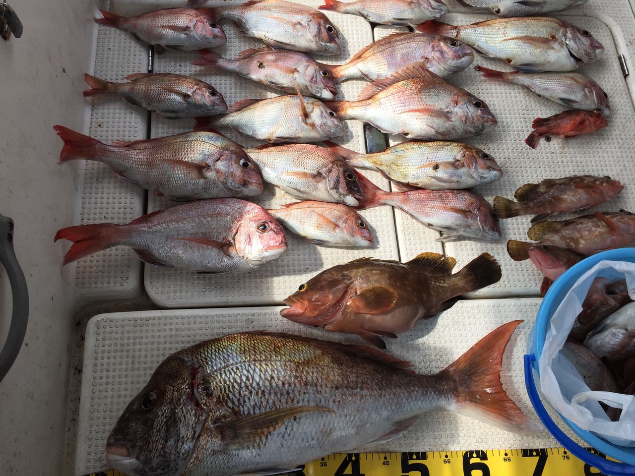 下津井沖 タイラバ 釣 てくてく Cho Teku Teku