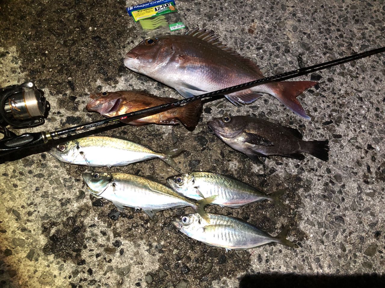 やっと行けたしまなみアジング 釣 てくてく Cho Teku Teku やっと行けたしまなみアジング 釣 てくてく Cho Teku Teku