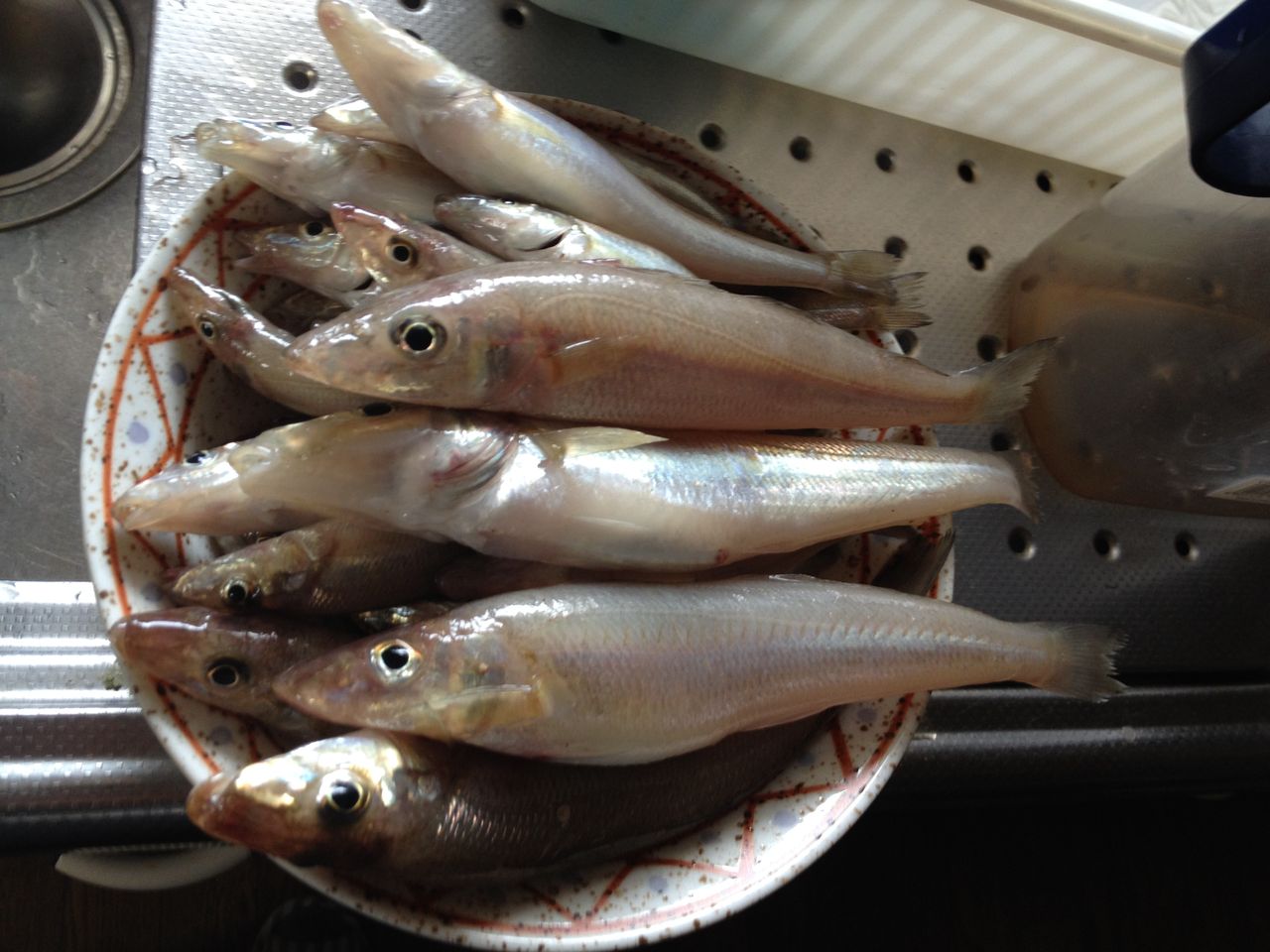 笠岡でキス釣り 釣 てくてく Cho Teku Teku 笠岡でキス釣り 釣 てくてく Cho Teku Teku