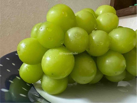 FullSizeRender