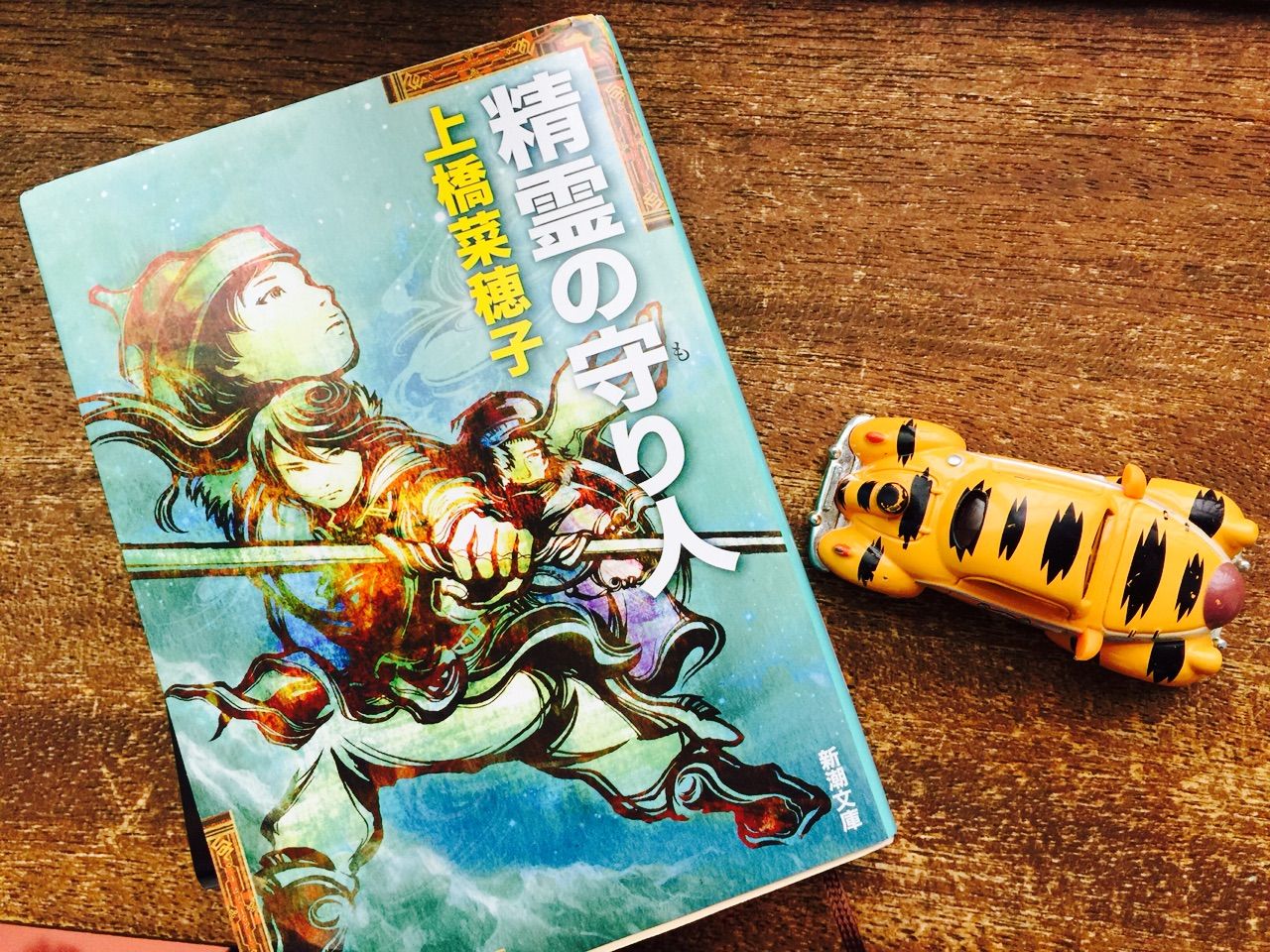読書感想文 おもしろすぎる 上橋菜穂子 精霊の守り人 ひと息つくブログ 読書感想文 おもしろすぎる 上橋菜穂子 精霊の守り人 ひと息つくブログ