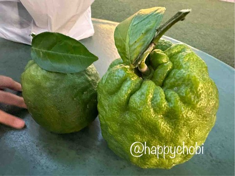 FullSizeRender