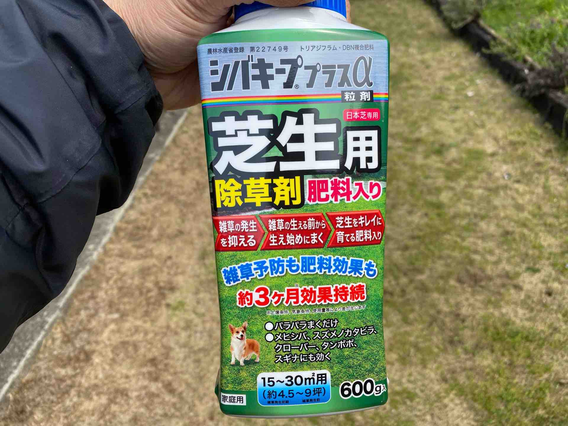 芝生の成長とドッグランへの道 雅 Miyabi Diary メダカ 飼育 繁殖と田舎暮らし 芝生の成長とドッグランへの道 雅 Miyabi Diary メダカ 飼育 繁殖と田舎暮らし