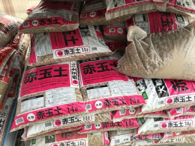 メダカの飼い方 増やし方 床砂編 雅 Miyabi Diary メダカ 飼育 繁殖と田舎暮らし メダカの飼い方 増やし方 床砂編 雅 Miyabi Diary メダカ 飼育 繁殖と田舎暮らし